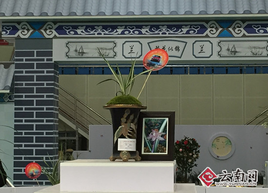 d8cb8a0c6f5b1834177541.jpg